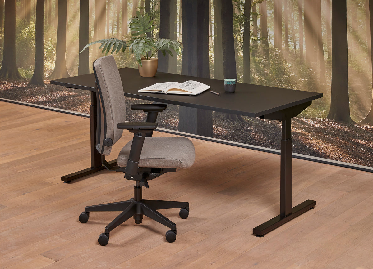 Circavora Ergonomic Chair