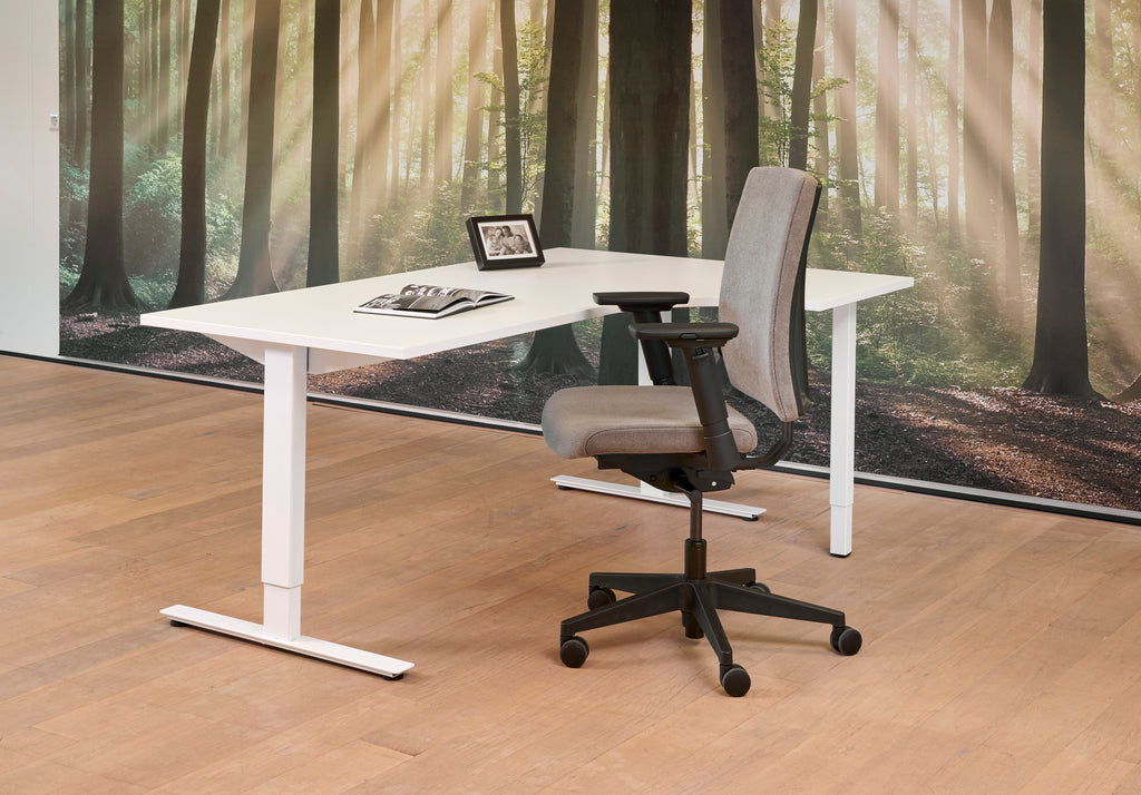 Circavora Ergonomic Chair